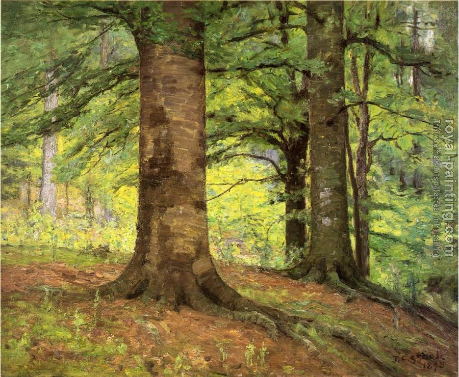 Theodore Clement Steele : Beech Trees